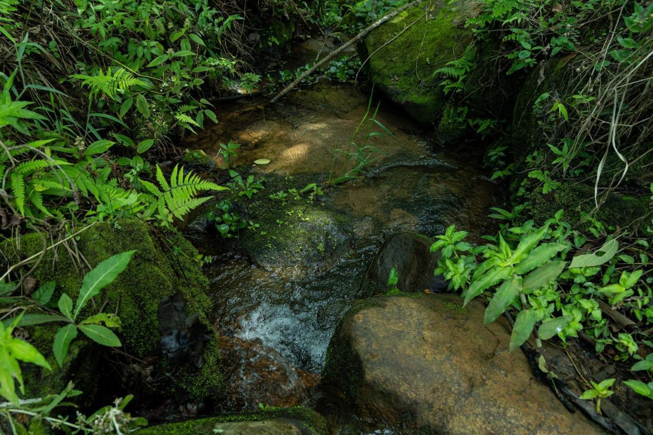 Pousada Terra dos Pássaros São Bento do Sapucaí Exterior foto