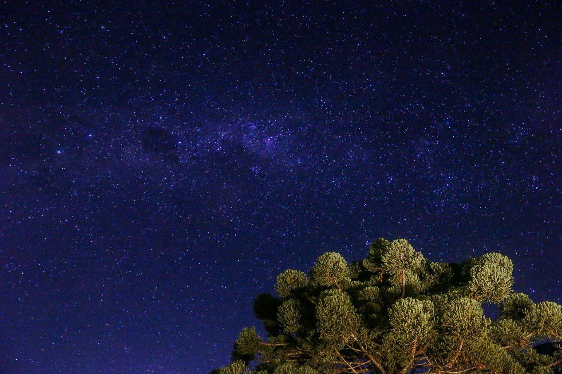 Pousada Terra dos Pássaros São Bento do Sapucaí Exterior foto